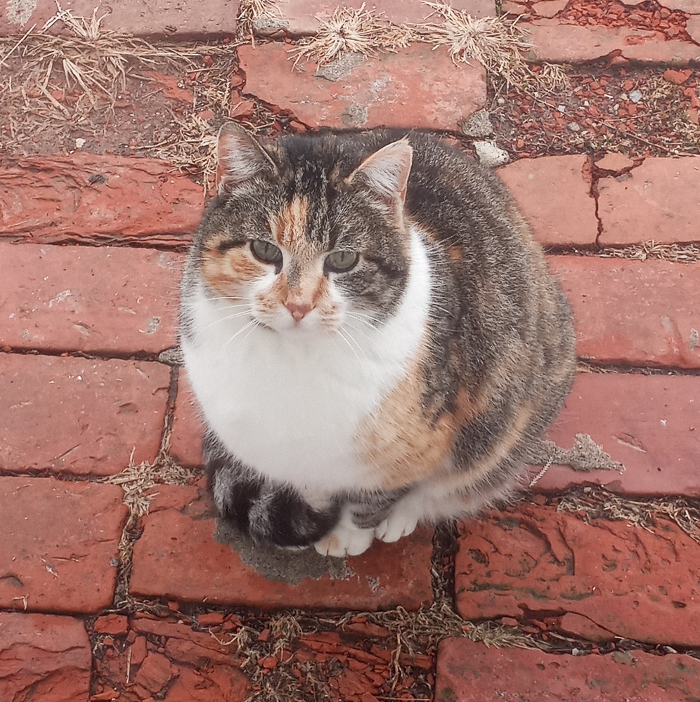 Meet your Posher, Frances
